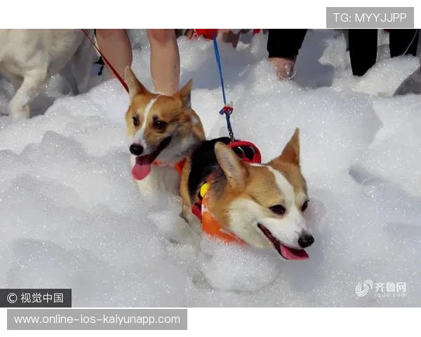 世界冠军晒小时候照片萌翻全场，童年也有无限可能